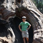 Sequoia 07
